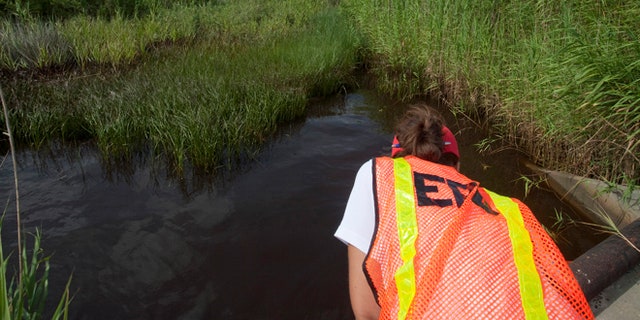 In this July 7, 2010 file photo, an EPA worker looks at oil from the Deepwater Horizon spill which seeped into a marsh in Waveland, Miss.