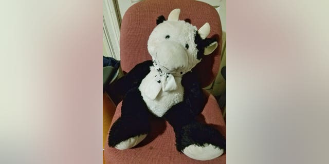 The stuffed cow broke the fall for the Massachusetts toddler, creating a cushion between the boy and the concrete, police said. (Chelsea Police Chief Brian Kyes)