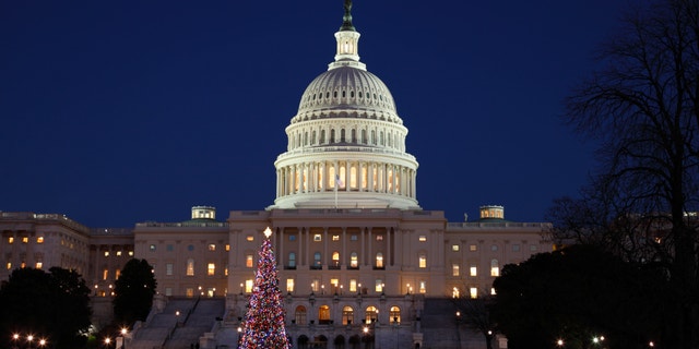 The United States Capitol building with Christmas tree in the foreground.