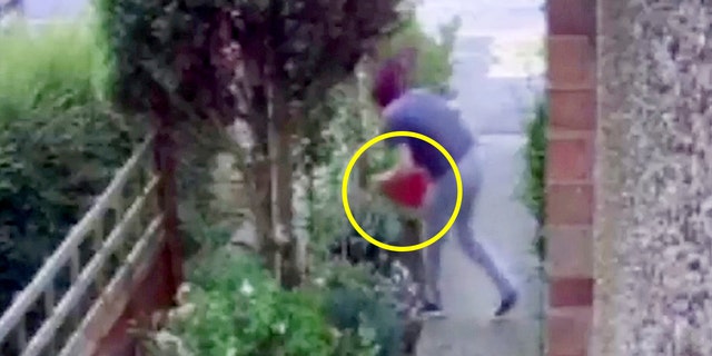 A thief was caught on camera doing a face plant while trying to steal a garden gnome.