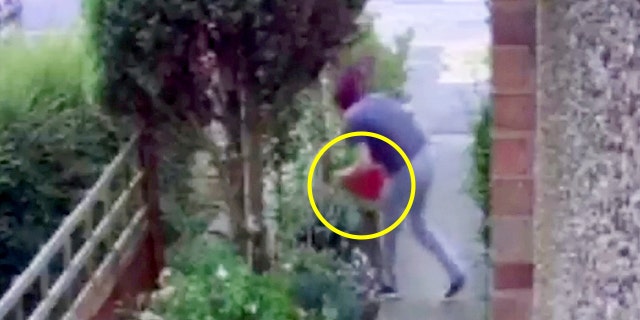 A thief was caught on camera doing a face plant while trying to steal a garden gnome.