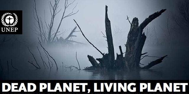 A recent U.N. biodiversity study said global environmental damage caused by human activity in 2008 totaled $6.6 trillion.