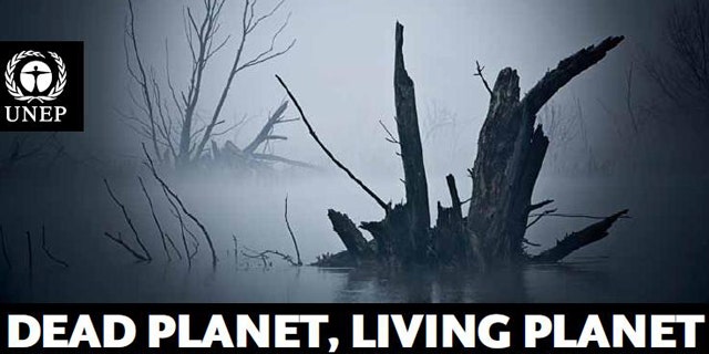 A recent U.N. biodiversity study said global environmental damage caused by human activity in 2008 totaled $6.6 trillion.