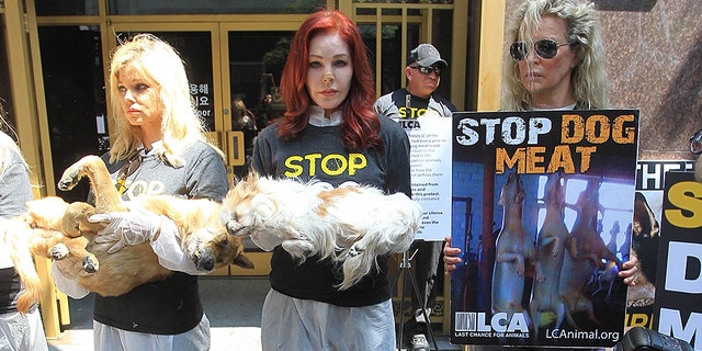 Donna D’Errico, Priscilla Presley and actress Kim Basinger protest dog meat in Los Angeles.