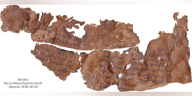 This scroll fragment preserves parts of the Book of Leviticus, in which God promises to reward the people of Israel if they observe the Sabbath and obey the 10 commandments. (Credit: copyright The Schøyen Collection, Oslo and London, MS 4611)