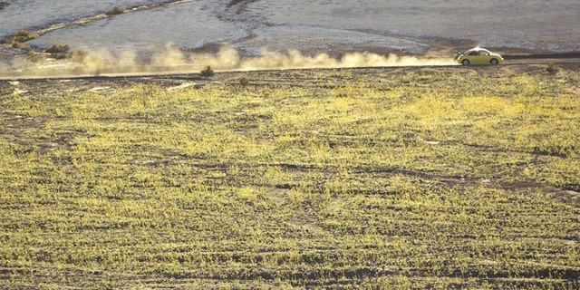 March 10, 2005: Wild flowers bloom as a car travels through Death Valley National Park, Calif.