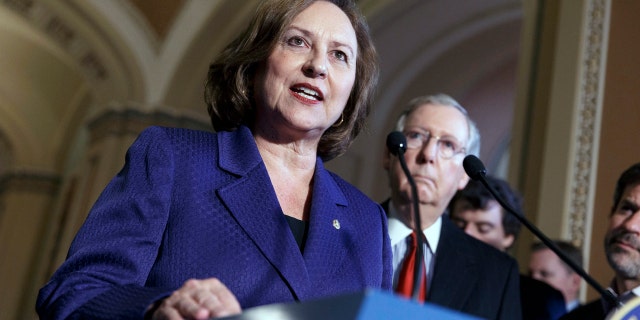 Sen. Deb Fischer, R-Neb., will battle Lincoln City Councilwoman Jane Raybould in November's general election
