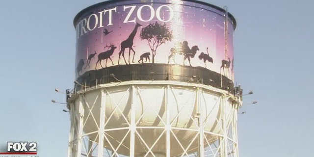A wild coyote is on the loose at the Detroit Zoo.