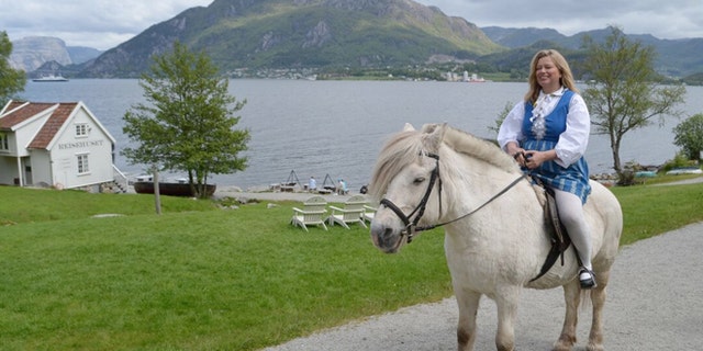 Fjord horse at Bakernes Paradis on the Lysefjord near Stavanger, Norway.