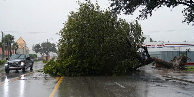 A fallen tree blocks Biscayne Blvd. as Hurricane Irma arrives in Hollywood, Florida, U.S., September 9, 2017. REUTERS/Carlo Allegri - RC11FB254B60