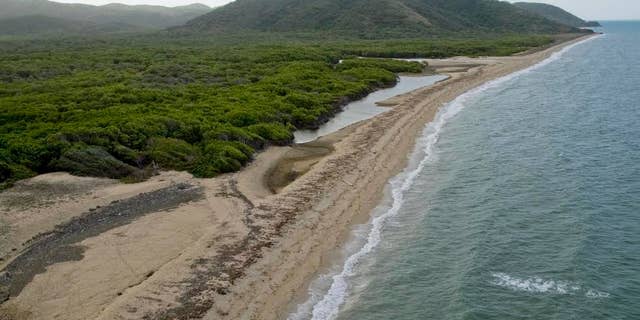 Cape Melville n.p , Cape York