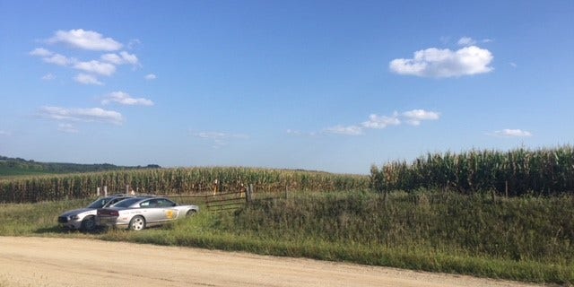 The cornfield in Iowa where Mollie Tibbetts' body was found on Tuesday.