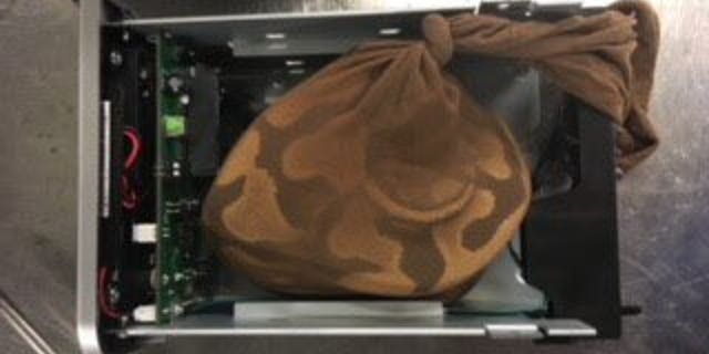 TSA agents found a python "artfully" hidden inside a hard drive at the Miami International Airport.
