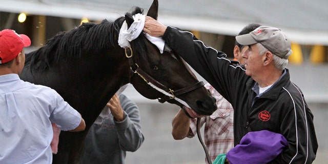May 1: Trainer Nick Zito, right, towels the head of Kentucky Derby hopeful Dialed In after its morning exercise at Churchill Downs in Louisville, Ky. (AP)