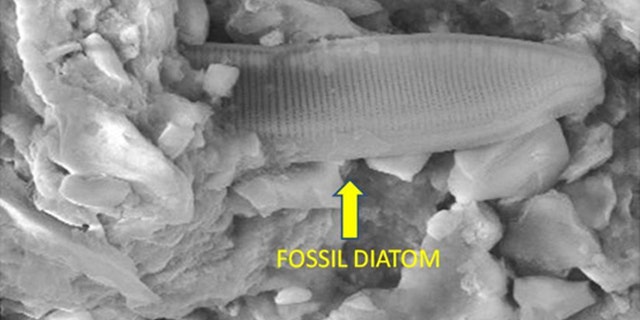 A paper published by a team of astrobiologists claims to have found "fossilized biological structures" inside meteorite fragments.