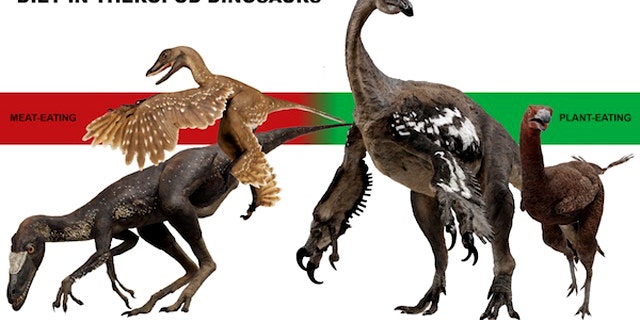 A new study finds many more coelurosaur plant-eaters than previously known.