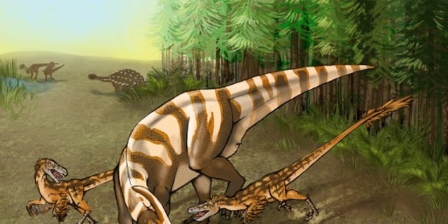 <em>Saurornitholestes sullivani</em> attacks a subadult hadrosaur in this illustration.