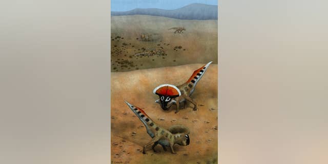 An illustration of two <i>Protoceratops andrewsi</i> signaling to each other, with less mature animals of their kind seen in the background.