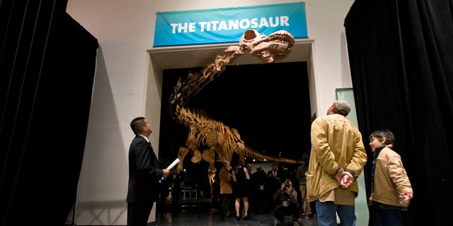 File-This Jan. 14, 2016, file photo shows visitors to the American Museum of Natural History examining a replica of a 122-foot-long dinosaur on display. A study proclaims a newly named species the heavyweight champion of all dinosaurs. (AP Photo/Mary Altaffer, File)