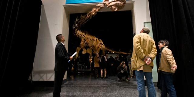 File-This Jan. 14, 2016, file photo shows visitors to the American Museum of Natural History examining a replica of a 122-foot-long dinosaur on display. A study proclaims a newly named species the heavyweight champion of all dinosaurs. (AP Photo/Mary Altaffer, File)