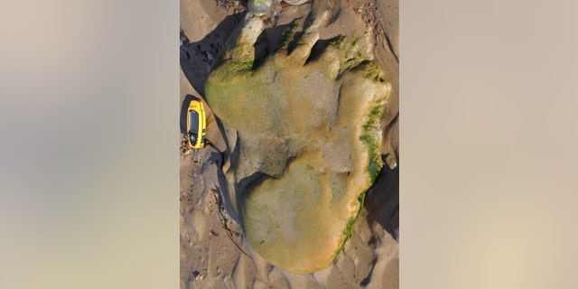 An image of the dinosaur footprint taken by Dr. Neil Clark - for scale, the yellow GPS next to the footprint is about 5.5 inches