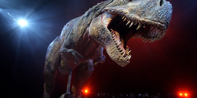 LONDON - MARCH 18: An adult Tyrannosaurs Rex robotic dinosaur performs in the O2 arena ahead of the forthcoming European leg of the live show 'Walking With Dinosaurs' on March 18, 2009 in London, England. The live arena show, which has already toured throughout North America, tours the UK from July 2009. The £10 million show features 15 mechanical life-sized dinosaurs and is based upon the hit BBC TV series of the same name. (Photo by Oli Scarff/Getty Images)