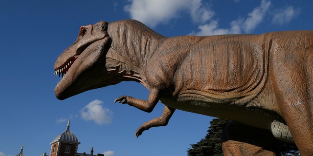 File photo: An animatronic life-size dinosaur is seen ahead of an interactive exhibition, Jurassic Kingdom, at Osterley Park in west London, Britain, March 31, 2017. (REUTERS/Toby Melville)
