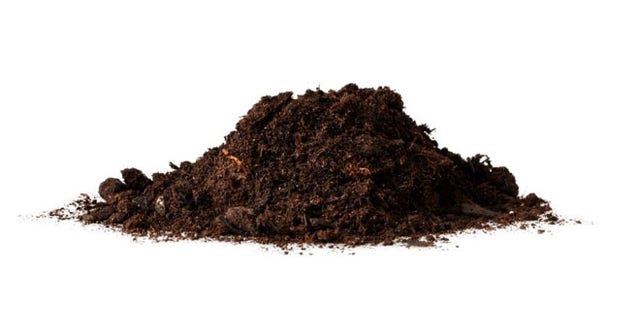 A French restaurant in Tokyo unveiled a meal using high-quality black dirt.