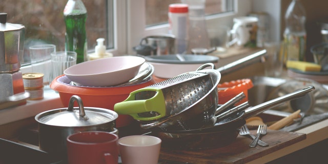 Keep bugs at bay with these easy cleaning and organization tips.