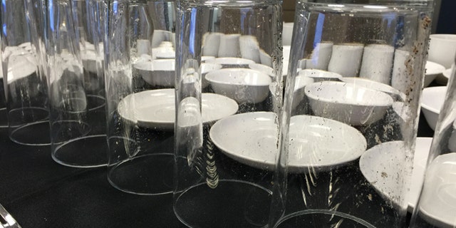 Shown here are results from dishwasher tests, for new government water efficiency standards, run by members of the Association of Home Appliance Manufacturers (AHAM).