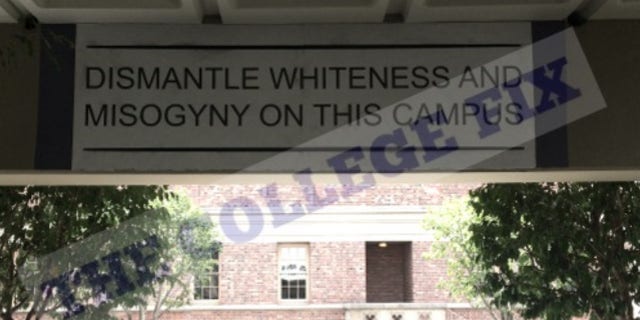 The University of Southern California installed a "dismantle whiteness" mural stirring up controversy on campus.
