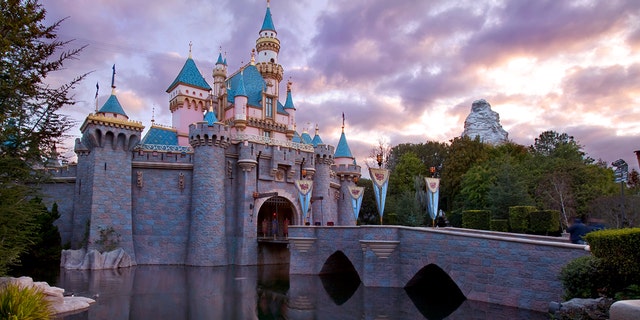 Over 85 percent of union workers at Disneyland earn less than $15 an hour, according to the survey.