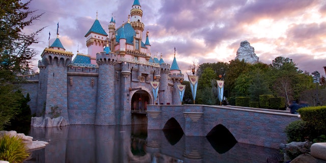Over 85 percent of union workers at Disneyland earn less than $15 an hour, according to the survey.