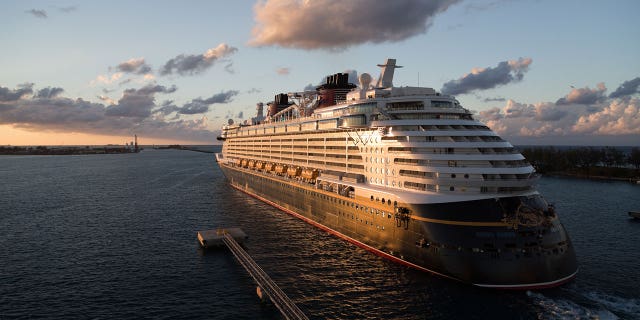 disney dream istock