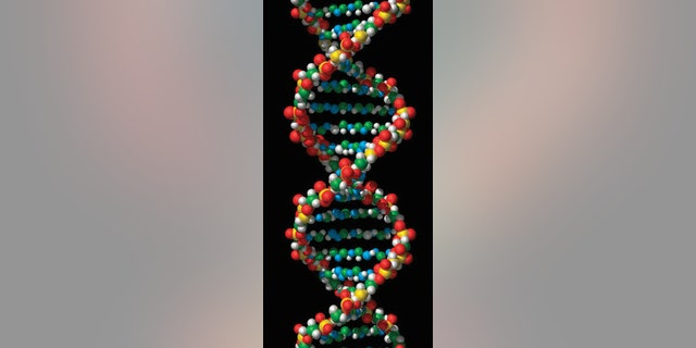 Historically, scientists have defined living creatures by the presence of DNA, but how living creatures process information may be a better hallmark of life, a new study argues
