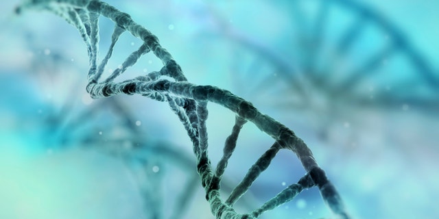 DNA strand genetics gene istock large