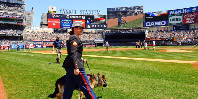 Megan and Rex in a pregame ceremony at Yankee Stadium on May 13, 2012.