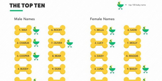 The most popular dog names aren't dog names at all | Fox News