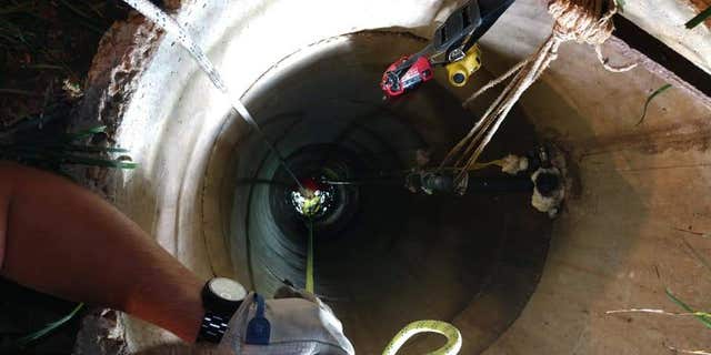 dog well 3