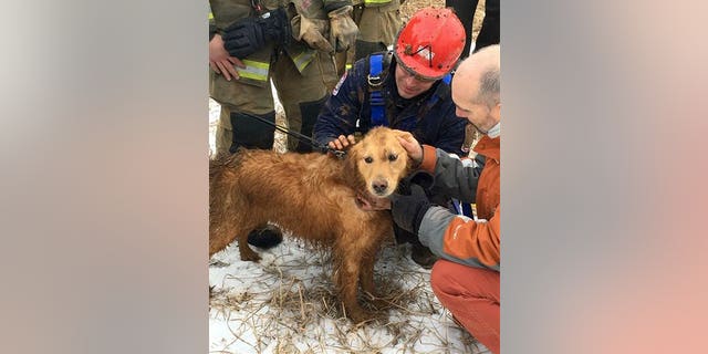 In this photo provided by Ryan McCaughey, rescue workers check Skye, a golden retriever, after being rescued in State College, Pa., Wednesday, Feb. 17, 2016. The dog that spent two nights stuck in a 14-foot-deep sinkhole was rescued Wednesday by firefighters using a makeshift harness. (Ryan McCaughey via AP)