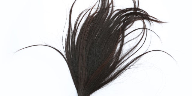 Donate hair to cancer patient isolated on white background, hairline