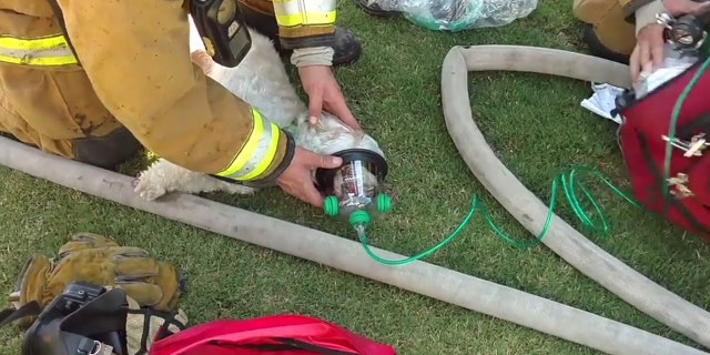 house fire By Travis Fedschun Published July 20, 2017 Fox News Firefighters in California saved a small dog from a house fire and resuscitated him in a dramatic rescue caught on video.