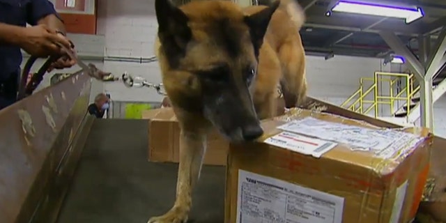 Agents use drug-sniffing dogs, X-rays and hand-held laser detectors to examine every piece of mail that goes through the international mail facility, where 60 percent of the nation’s postage arrives.