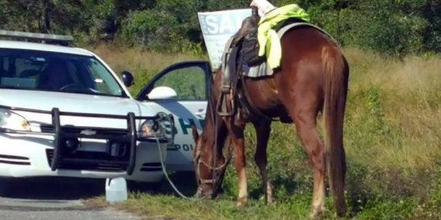 A woman on horseback was stopped and charged with driving drunk in Florida.