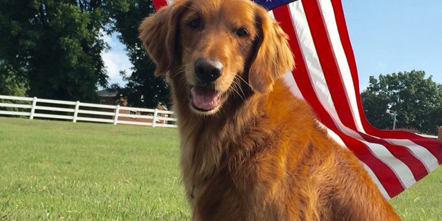 Sam, a golden retriever who played the Bush's Baked Beans spokesdog 'Duke,' has passed away.