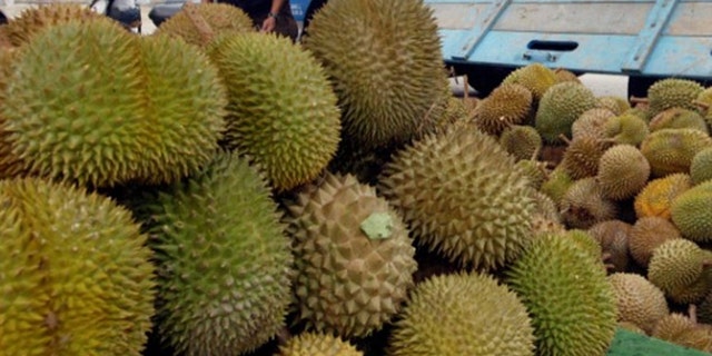 Durian caused hundreds of people to evacuate from the University of Canberra's library on Thursday, the school said.