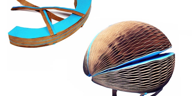 The EcoHelmet is a reusable, biodegradable and collapsible alternative to bulky helmets.