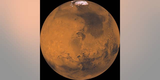 essay on life in space