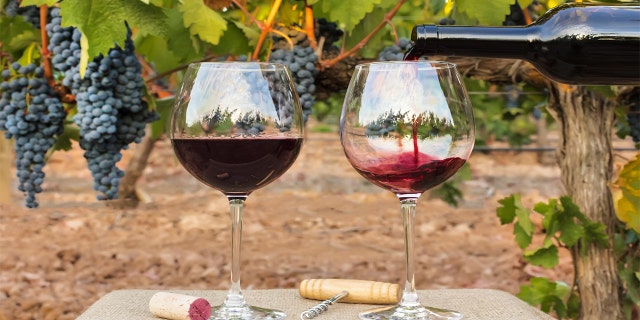 e2541e8a-wine istock
