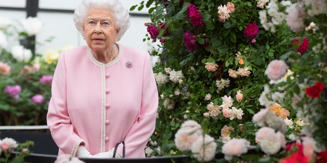 Britain's Queen Elizabeth II was seen wearing sunglasses at a number of recent public engagements.